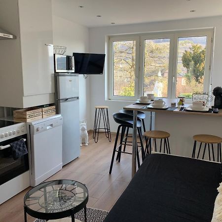 Ferienwohnung Le Cocon Guebwiller Exterior foto